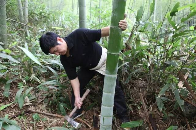 "一支毛竹,要经过坎竹,断青,剥皮,断料,泡石灰水,烧煮,浸泡,打浆,捞纸