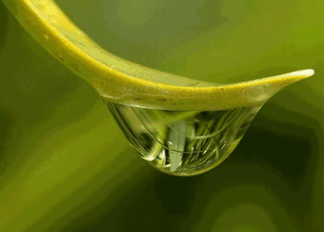 林琳——《我是一滴水》