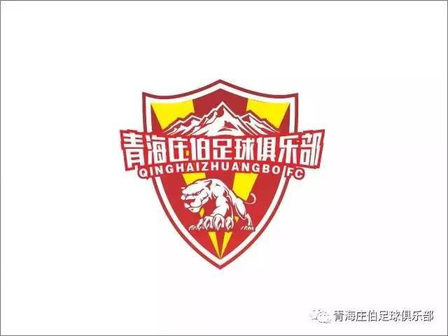 浙江大成足球俱乐部图片