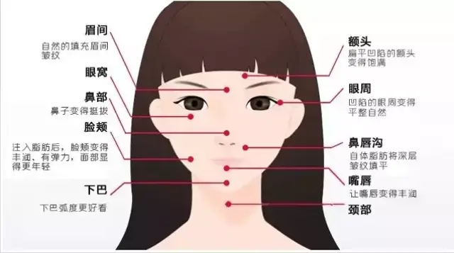 眉心长旋的位置图解图片