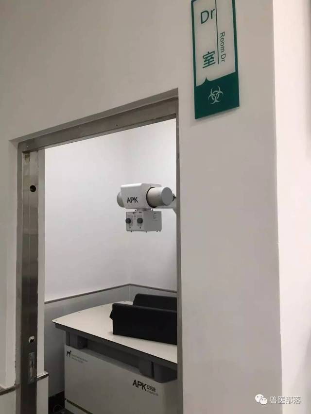 【医院介绍】本溪平山动物医院-专业为基,爱心为本