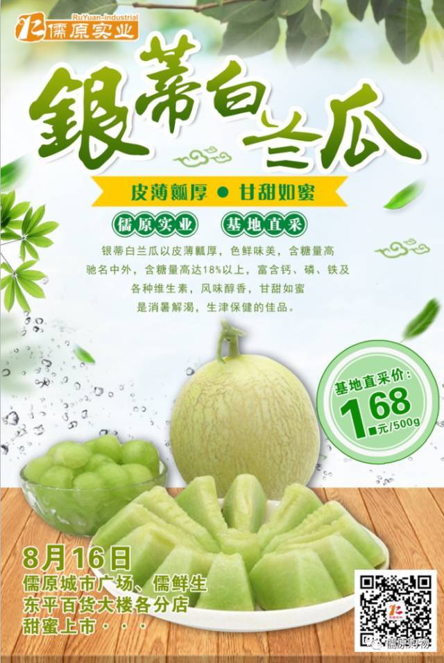 基地直采 | 银蒂白兰瓜 这有可能是你吃过的最甜的瓜