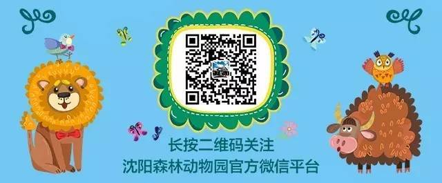 沈阳森林动物园隆重召开第一届二次全体党员大会