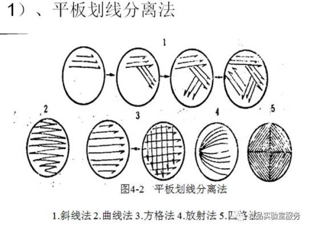 平板划线法步骤图示图片