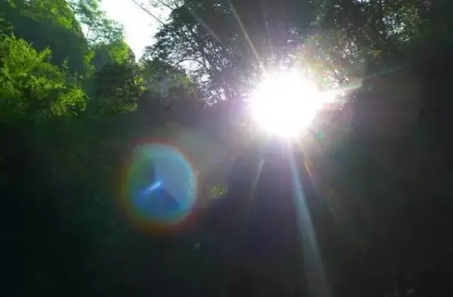 贵!珠海各民办小学学费曝光!比房价更让人难以