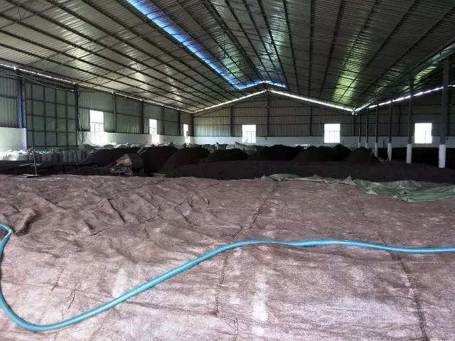 普洱茶渥堆发酵的时间长短有什么特点?