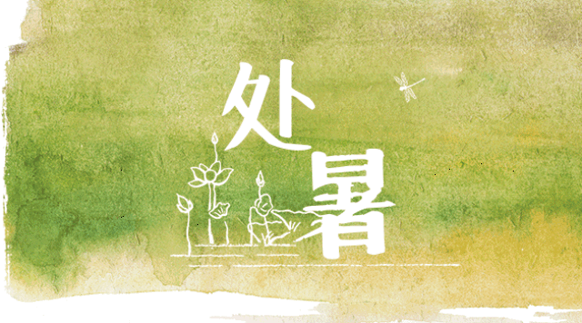 明日处暑,学会这几招秋天不生病!