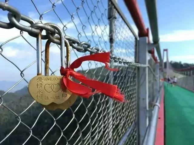 在世界第一人行玻璃悬索桥,同结连心锁,此情终生不渝.