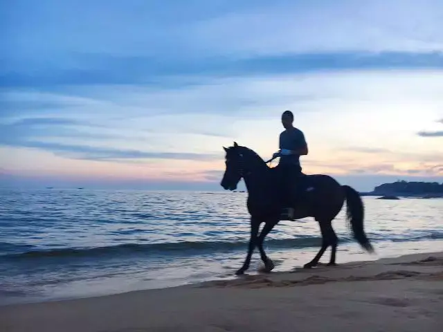 在汕尾红海湾骑马是一种什么样的体验