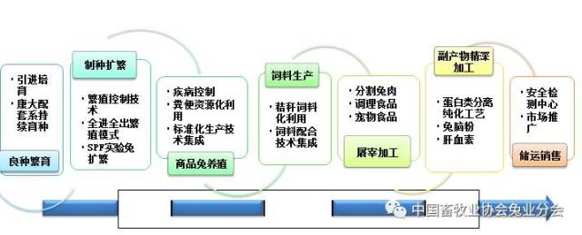 狗粮排行揭秘:单身汪们的甜蜜时刻与日常