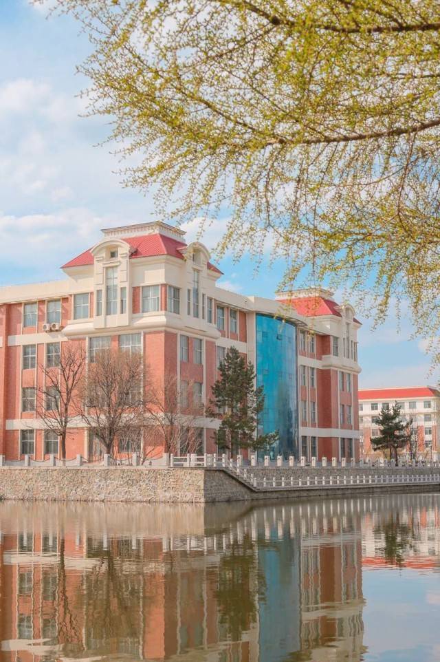 学校设有高级翻译学院,英语学院,双语学院,东方语学院,西方语学院