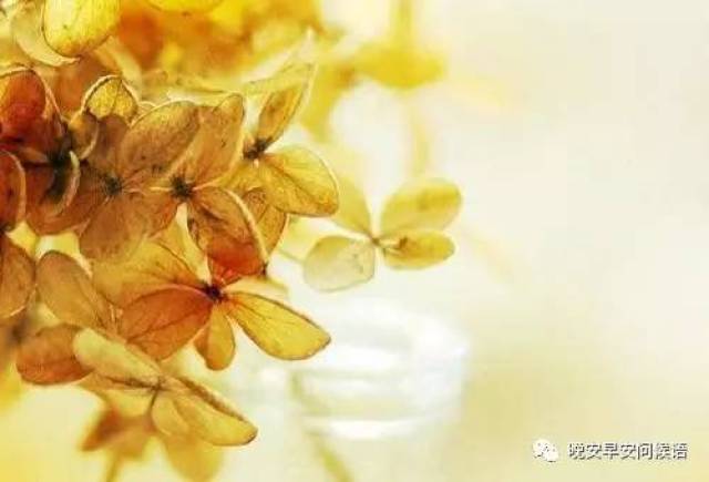 早安说说 新的一天开始精美语句