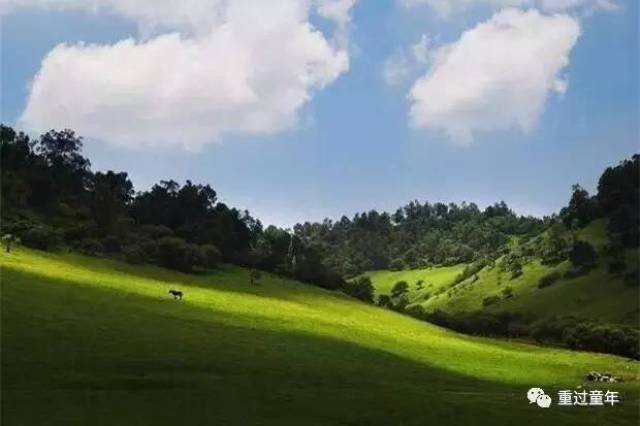 实拍丨总被说没意思的关山牧场,值得去吗?