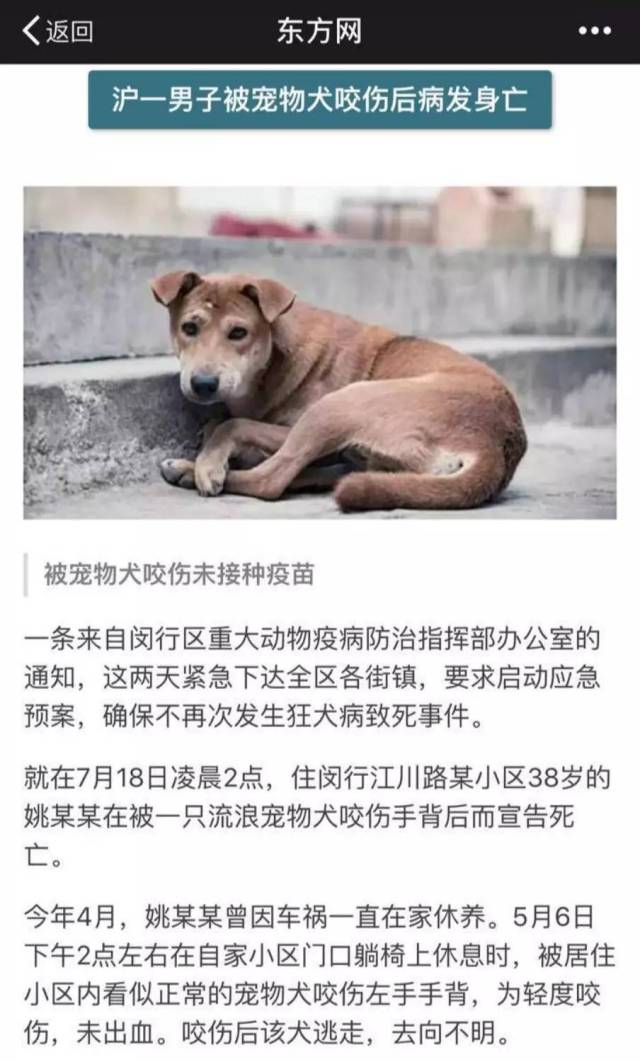 青浦哪些小区居民被流浪狗困扰?到底该如何处理?