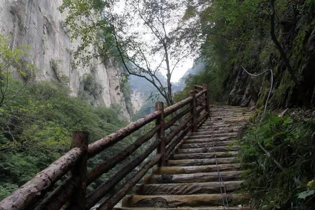 「涨姿势」有一种道叫做"太白鸟道"