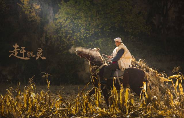《赶牲灵》被称40年来首部音乐故事片延翔还原初爱赢好评