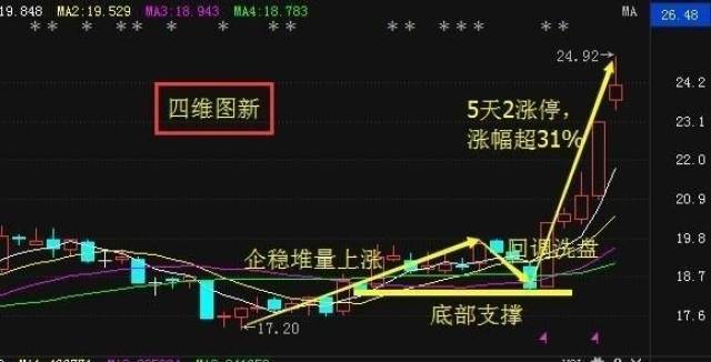 第八大陆：互联网生态的新篇章