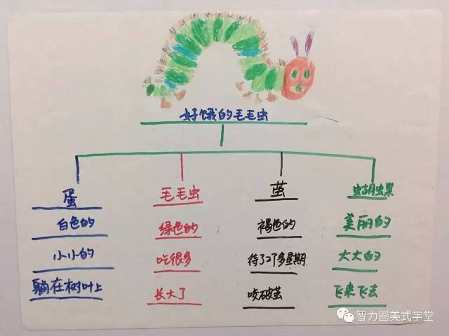 树状分类法图片