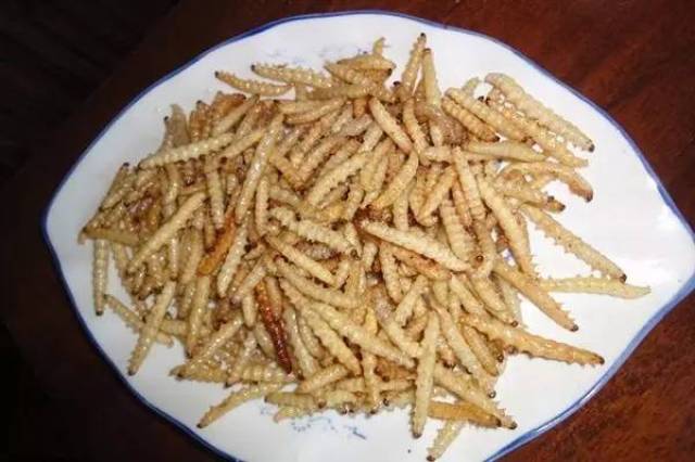 这些菜,也只有广西人才敢吃!