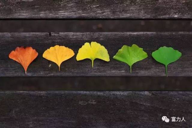 请输入图片描述