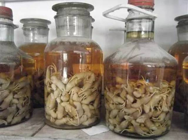 这五种酒简直让人作呕 你敢喝哪一种 手机搜狐网