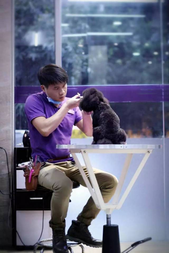 喜欢猫狗?8月24来揭阳汪先生宠物店聊聊呗!