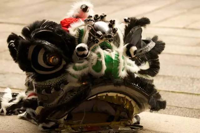 艺术岭南,最艺是舞狮——冠星王陶瓷携手世界狮王走进岑巩,巡回上演