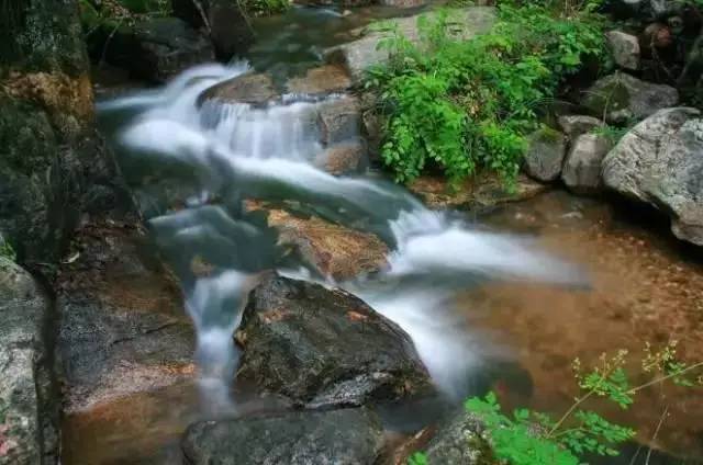 夏日的驼沟绿树如盖,溪流遍布,峡深谷幽,宽潭水静,景色格外优美.