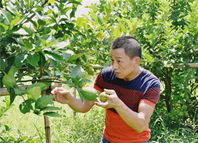 潮州微信开发：开启企业数字化转型之门