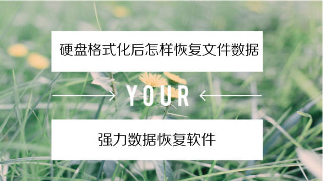 硬盘格式化后数据恢复软件
