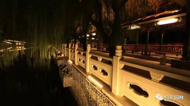 夜幕下的劳动公园, 八一公园,植物园竟变成了这样!你发现了吗?