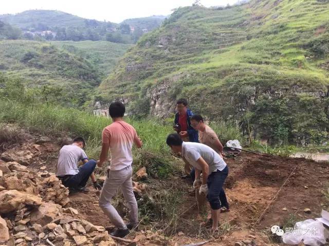 鎮雄發現石器遺址點!以前就有村民在此挖掘