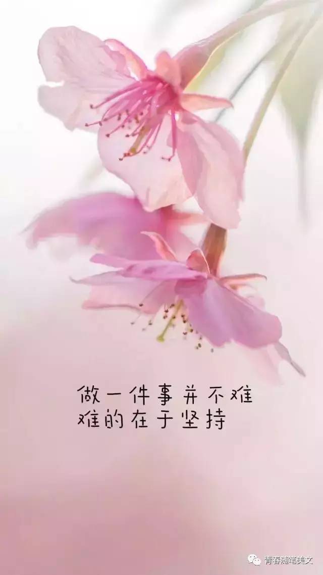 花的名言短句(花的寄语唯美句子)