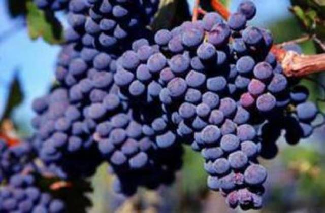 1箱千元名酒!让百姓体验到真正的好酒,法国干