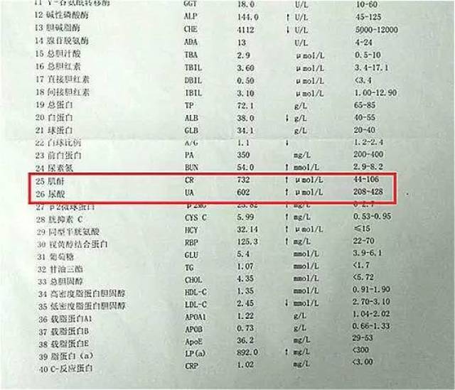 尿酸降到正常值就够了吗?