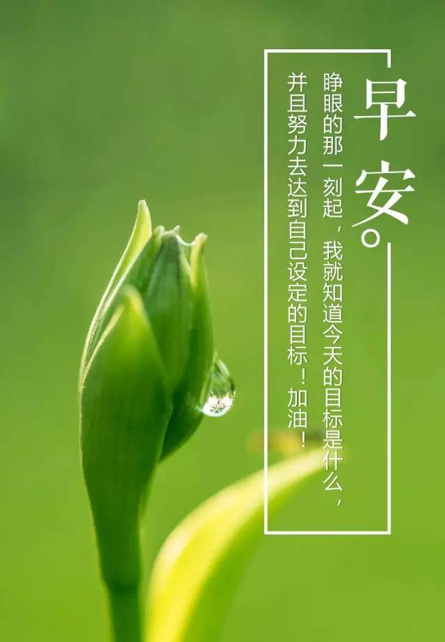 簲2017簲ͼƬ