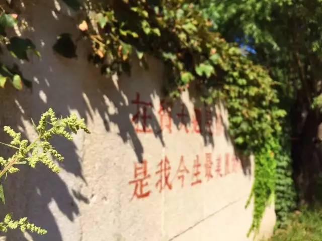 在这小编给各位学弟学妹普及一下 那些平时经常听到的 只有贸大人才