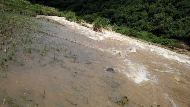 8月25日:田林利周往浪平鄉,岑王老山境內公路現大面積塌方,路基缺口.