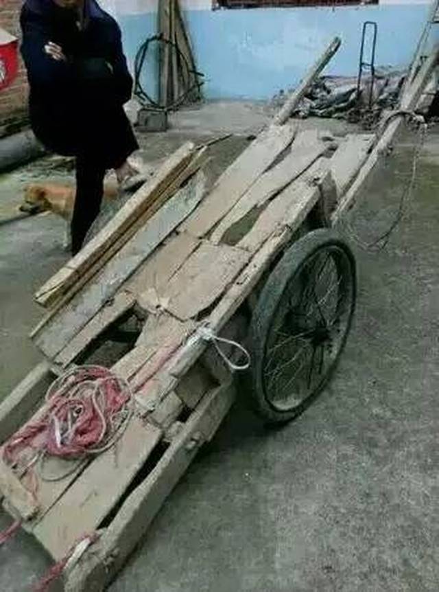 紧急通知:以下人员请速回定陶,你妈喊你回家掰玉米棒子了!