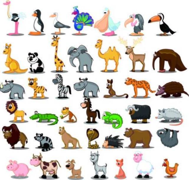 5000种动物图片大全图片