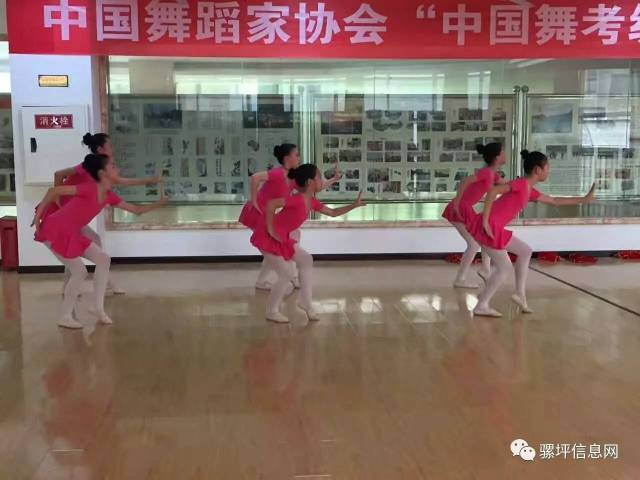 体育竞技赛事背后的精妙策划