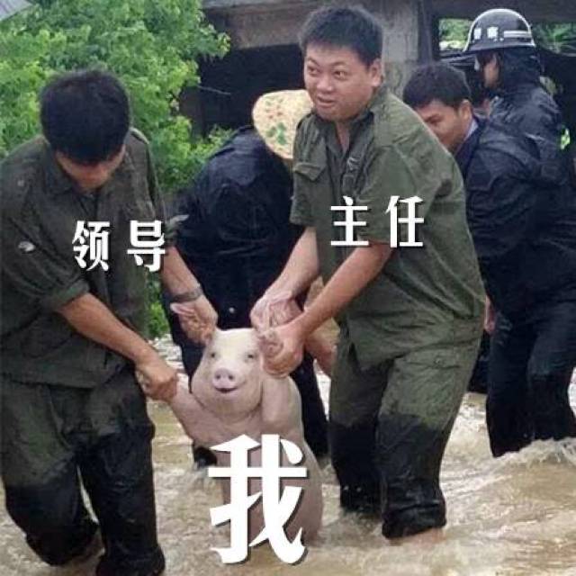 表情如此到位 小编和网友一样 都忍不住要做上一系列表情包了 都是