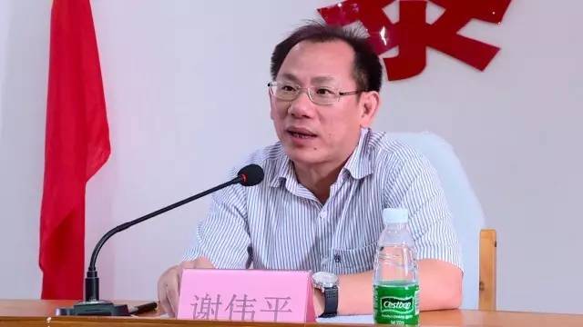 镇委副书记谢伟平在专题党课上指出,在这次村级换届选举中,黎村出色地