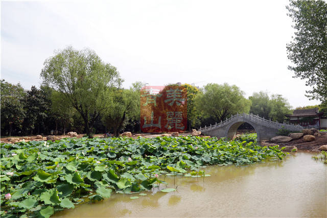 南干渠游园"飞仙升天",颜值大变,怕你看不够!_手机搜狐网