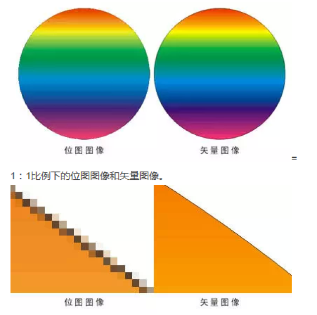 放大后的位图图像和矢量图像.