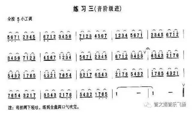 【笛子教學】笛子十講系列練習三:《連音練習》戴亞示範(附曲譜)