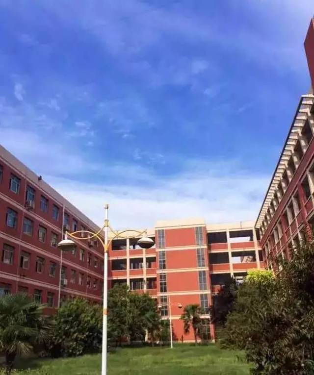 再见了 永城一高
