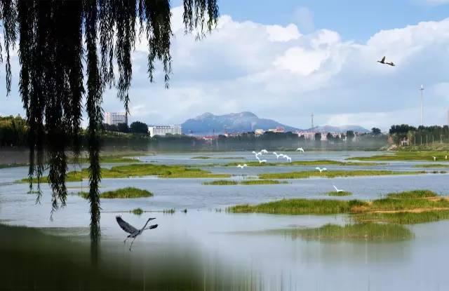 福山持续发力夹河水环境治理