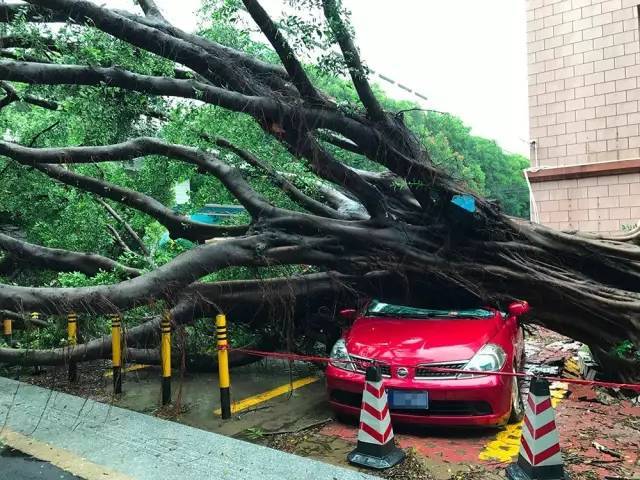 台风雨持续!风雨中,这些佛山人让人动容
