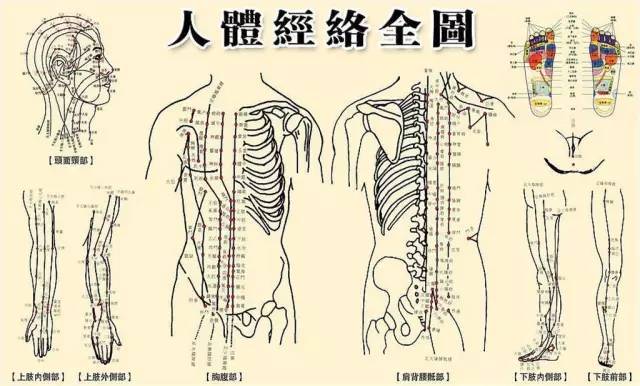 任脉循行路线,督脉循行路线,冲脉循行路线(第2页)_大山谷图库